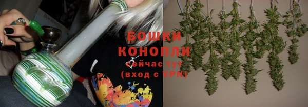 шишки Балабаново