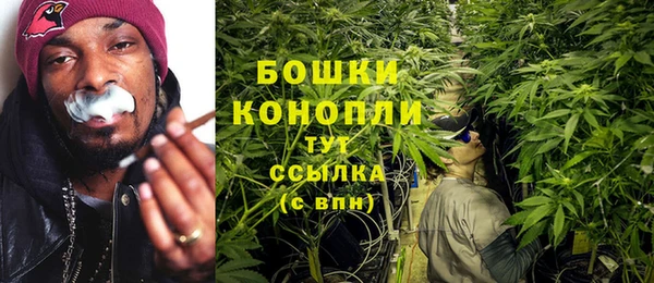 шишки Балабаново